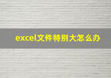 excel文件特别大怎么办