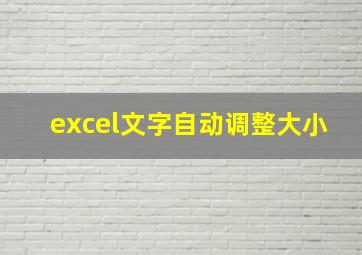 excel文字自动调整大小