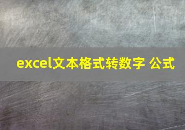 excel文本格式转数字 公式