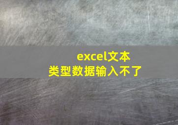 excel文本类型数据输入不了