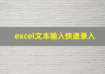 excel文本输入快速录入