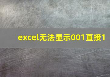 excel无法显示001直接1