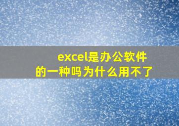 excel是办公软件的一种吗为什么用不了