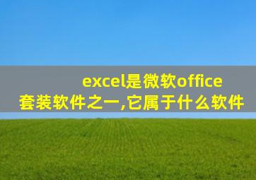 excel是微软office套装软件之一,它属于什么软件