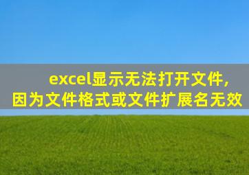 excel显示无法打开文件,因为文件格式或文件扩展名无效