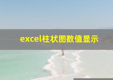 excel柱状图数值显示