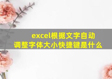 excel根据文字自动调整字体大小快捷键是什么