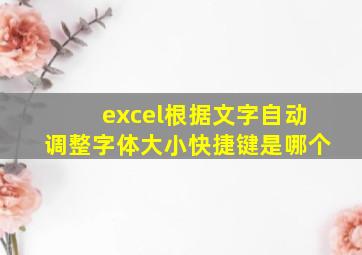 excel根据文字自动调整字体大小快捷键是哪个