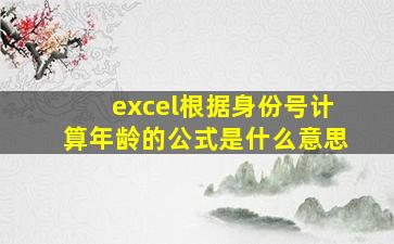 excel根据身份号计算年龄的公式是什么意思