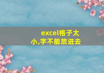 excel格子太小,字不能放进去