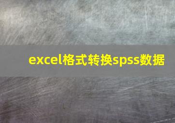 excel格式转换spss数据