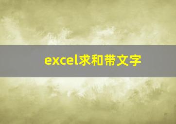 excel求和带文字