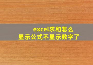 excel求和怎么显示公式不显示数字了