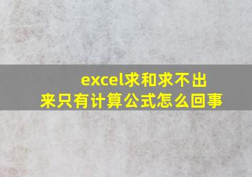 excel求和求不出来只有计算公式怎么回事