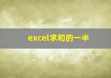 excel求和的一半