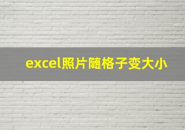 excel照片随格子变大小