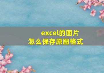 excel的图片怎么保存原图格式