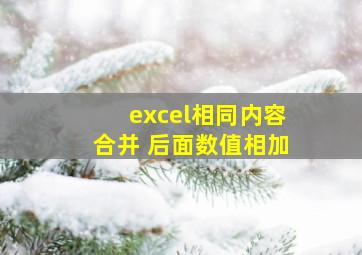 excel相同内容合并 后面数值相加