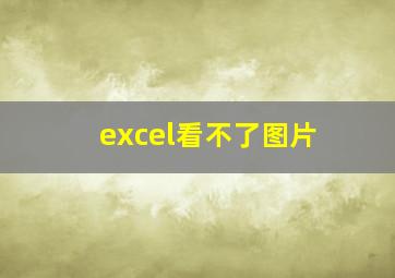 excel看不了图片