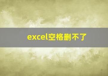 excel空格删不了