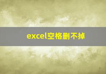 excel空格删不掉