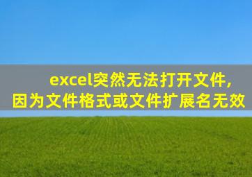 excel突然无法打开文件,因为文件格式或文件扩展名无效