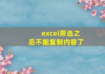 excel筛选之后不能复制内容了