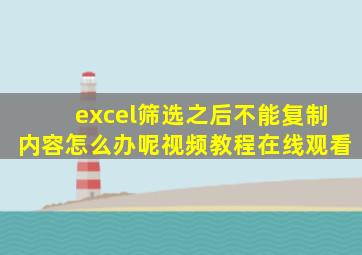 excel筛选之后不能复制内容怎么办呢视频教程在线观看