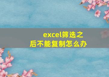 excel筛选之后不能复制怎么办