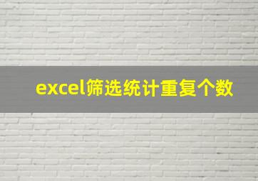 excel筛选统计重复个数