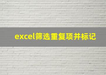 excel筛选重复项并标记