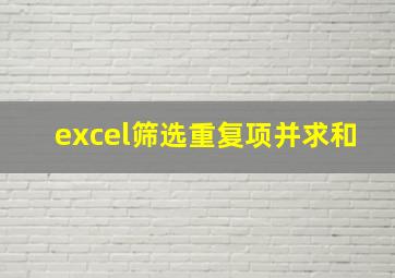 excel筛选重复项并求和