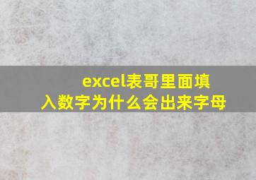 excel表哥里面填入数字为什么会出来字母