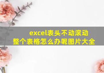 excel表头不动滚动整个表格怎么办呢图片大全