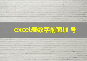 excel表数字前面加+号