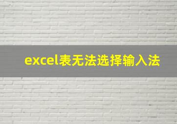 excel表无法选择输入法