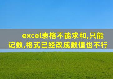 excel表格不能求和,只能记数,格式已经改成数值也不行