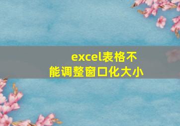 excel表格不能调整窗口化大小