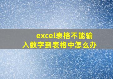 excel表格不能输入数字到表格中怎么办