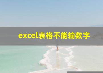 excel表格不能输数字