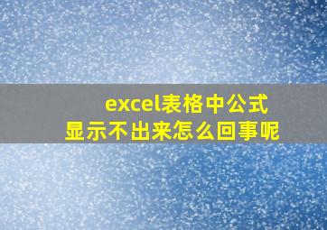 excel表格中公式显示不出来怎么回事呢