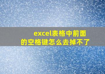 excel表格中前面的空格键怎么去掉不了