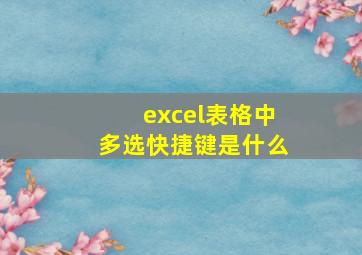 excel表格中多选快捷键是什么