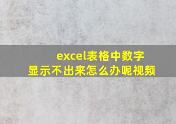 excel表格中数字显示不出来怎么办呢视频