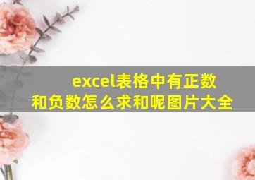 excel表格中有正数和负数怎么求和呢图片大全