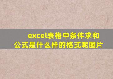 excel表格中条件求和公式是什么样的格式呢图片