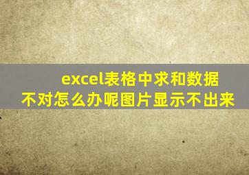 excel表格中求和数据不对怎么办呢图片显示不出来