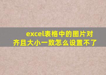 excel表格中的图片对齐且大小一致怎么设置不了