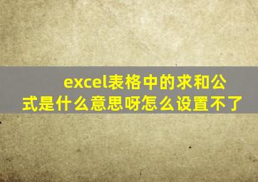 excel表格中的求和公式是什么意思呀怎么设置不了