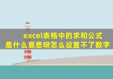 excel表格中的求和公式是什么意思呀怎么设置不了数字